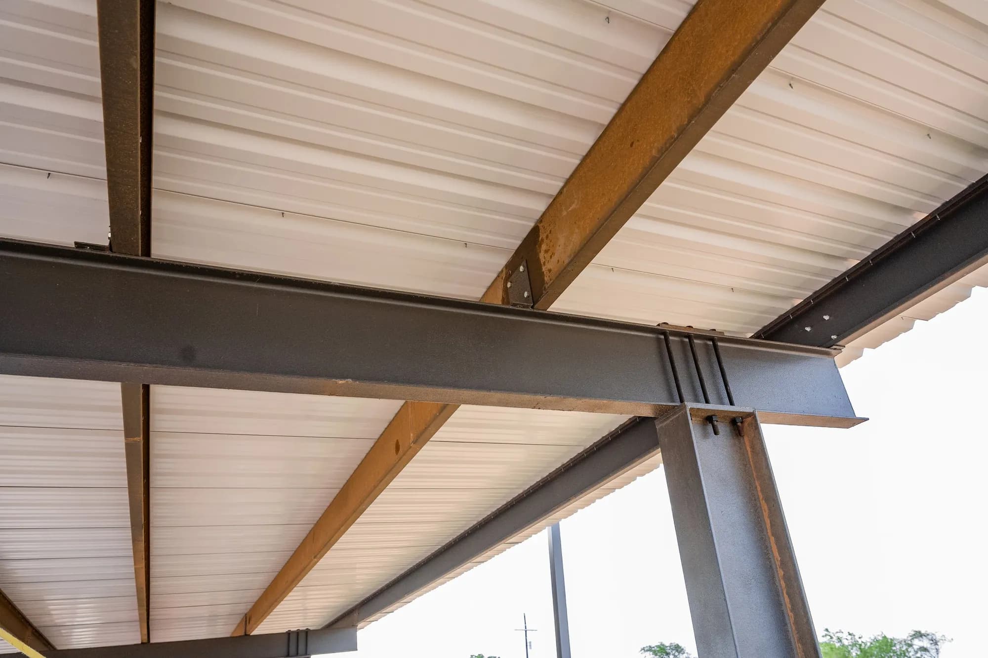 Lifted Trucks, Real Steel Canopies